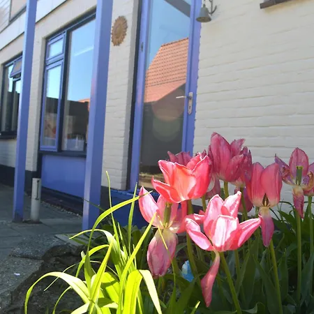 Te Gast Op Texel Feriehus