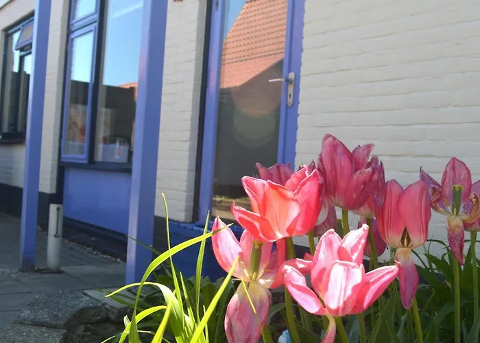 Te Gast Op Texel 펜션